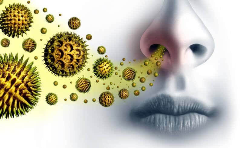 Allergic rhinitis