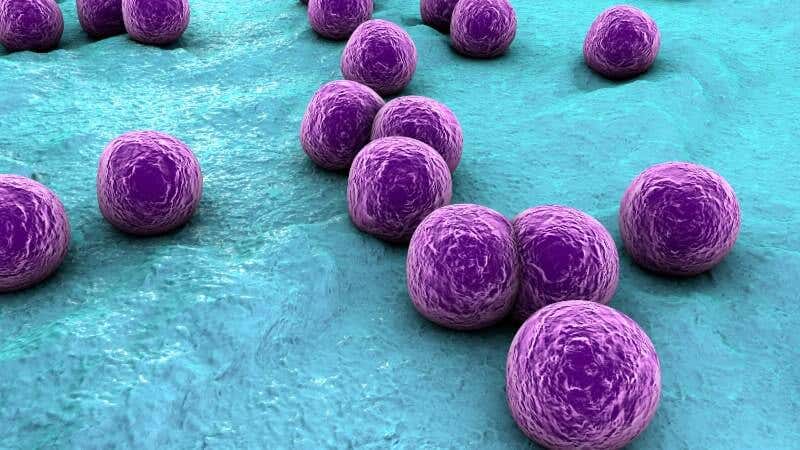 The Global Challenge of Antimicrobial resistance (AMR)