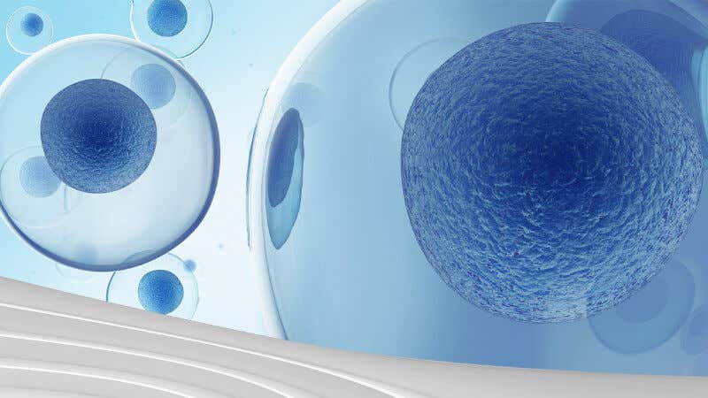 CTCs - Liquid Biopsy