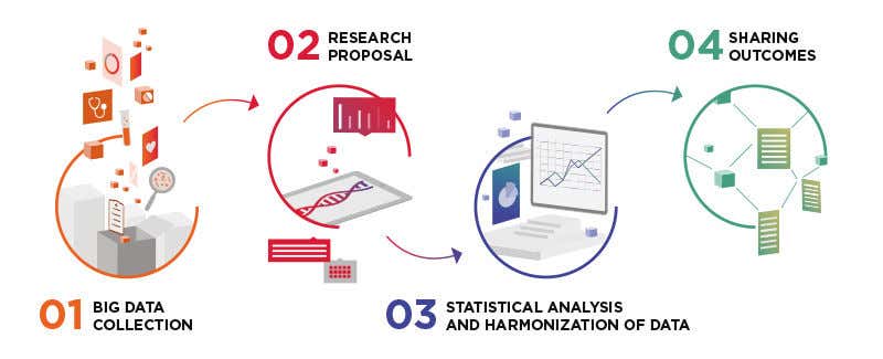 infografica_harmony