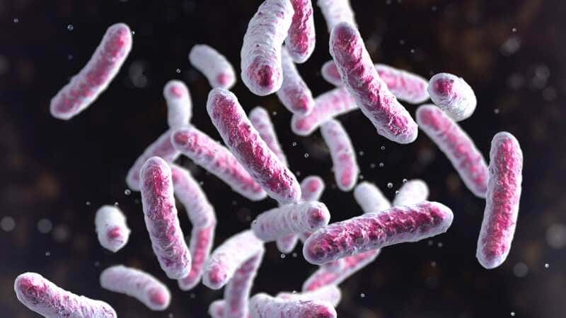 The Global Challenge of Antimicrobial resistance (AMR)