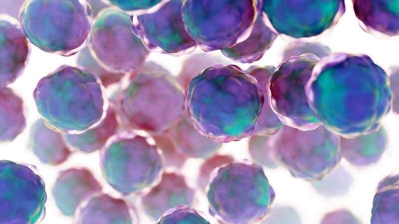 Clinical trials