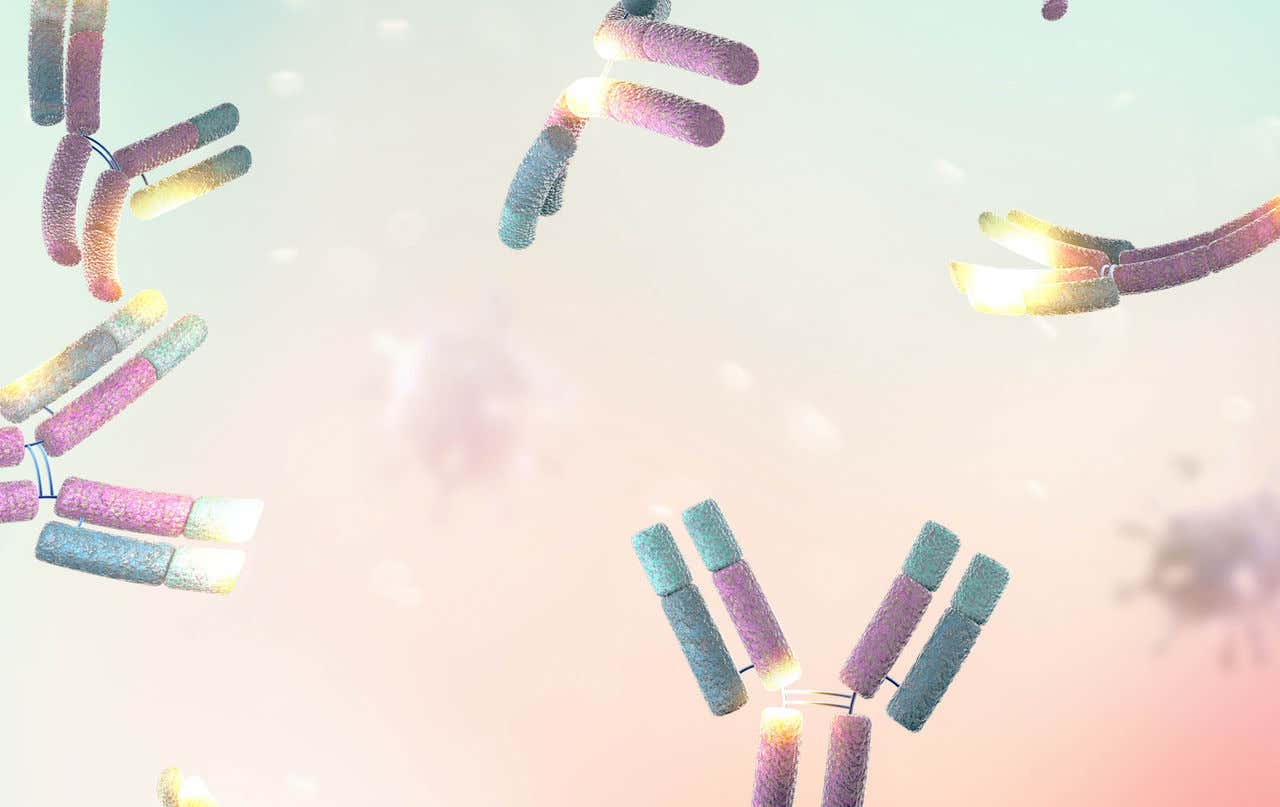 Antibody Detection
