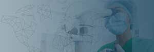 Key principles banner image