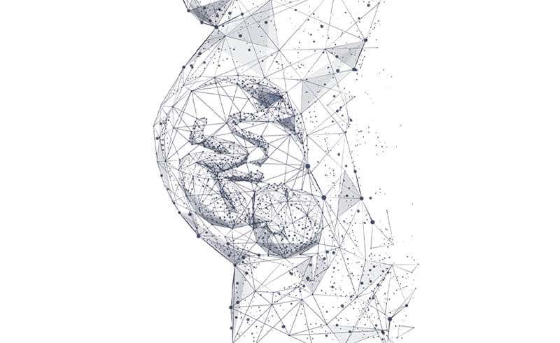 our-innovation-prenatal-diagnosis
