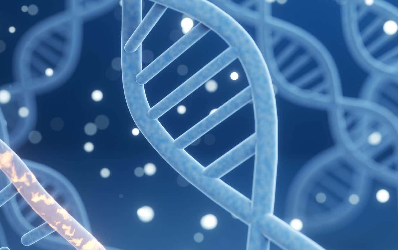 Virus Detection