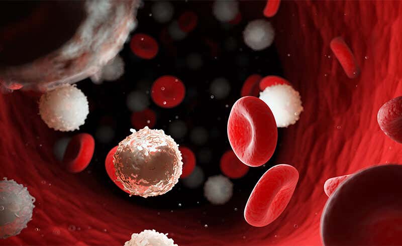 oncology