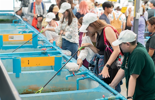 Planting coral in the ocean 2