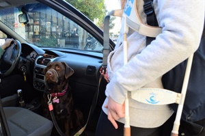 A guide dog for independence
