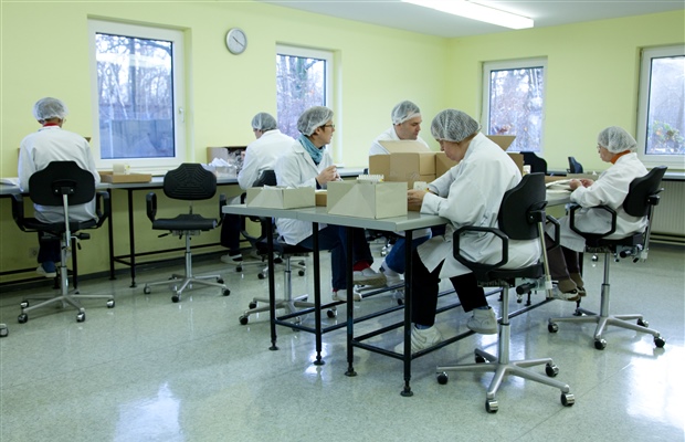 Inclusion in the workplace: the Social Enterprise Department 0
